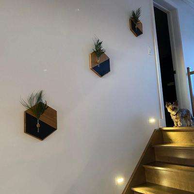 MDF Wooden Wall Planters Set – Black & Brown Geometric Wall Hanging Plant Holder (SKU: MZ630254)
