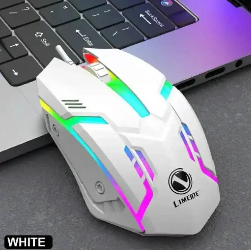 Compact Wireless RGB Gaming Mouse with Adjustable DPI & Rechargeable Battery for PC & Laptop